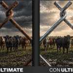 Imagen1 ultimate (1)